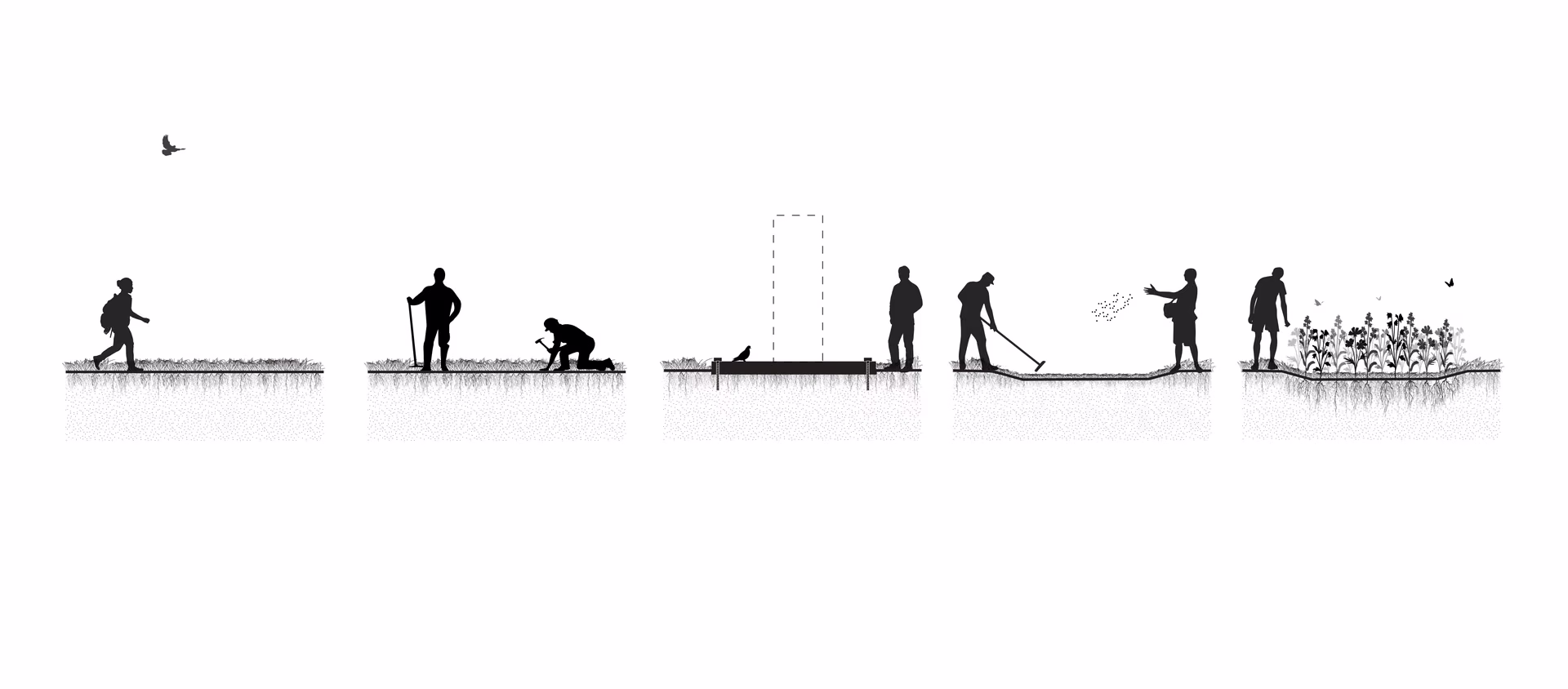 From compaction to planting: a sequence of care